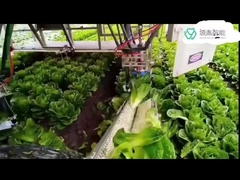 سیستم های بازوی ربات کوکا سنگین برای ربات های KR DELTA در بسته بندی 7 بازوی Dof